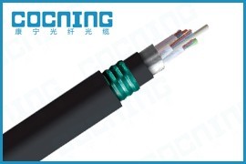 康寧GYTA53光纜 從細(xì)節(jié)圖看工業(yè)美學(xué)的精密與可靠