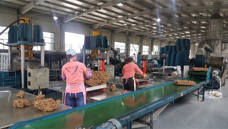 40 Thousand Tons Compound Rubber Processing Plant at Baolianhua,Menglun ,Xishuangbanna ,Yunnan 2 %TSR natural rubber% Yunnan case 2